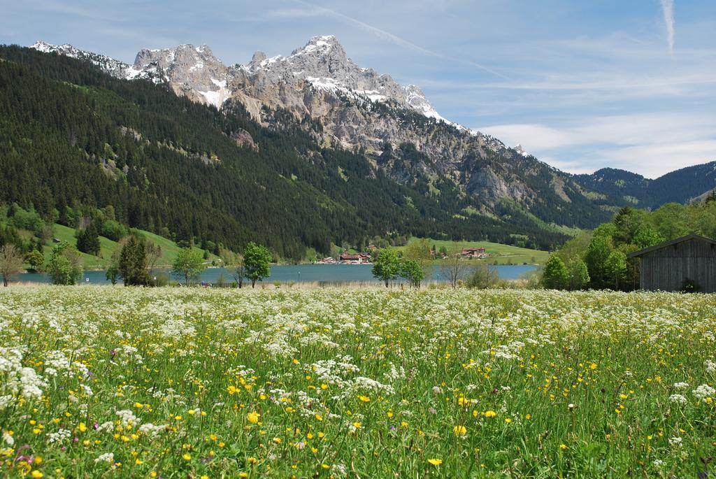 Aggenstein Pensjonat