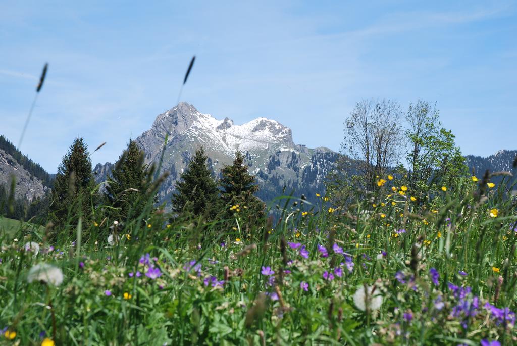 Pensjonat Aggenstein Haldensee