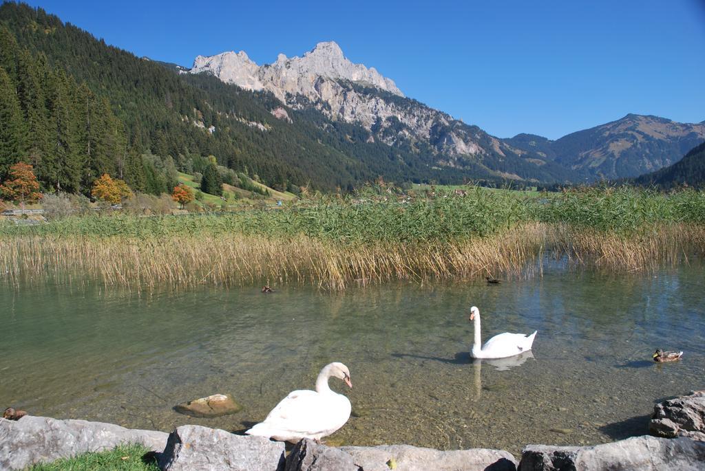 Aggenstein 3* Haldensee